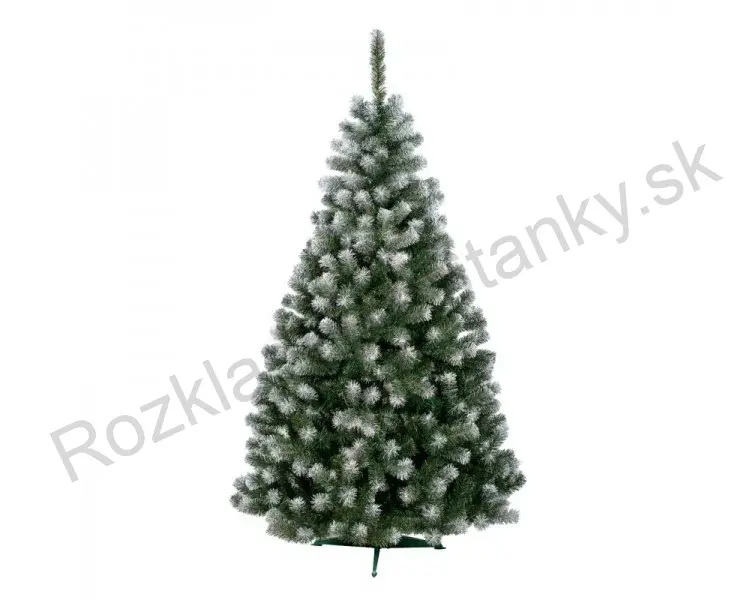 Jedľa Bea-220cm /zasnežená/