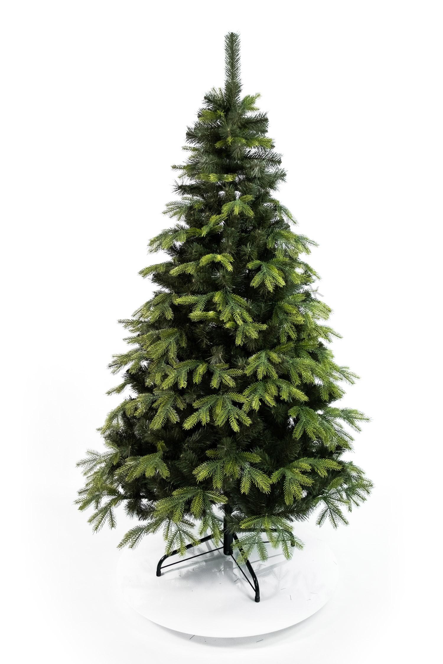 Borovica Kanadská LUXURY-240cm