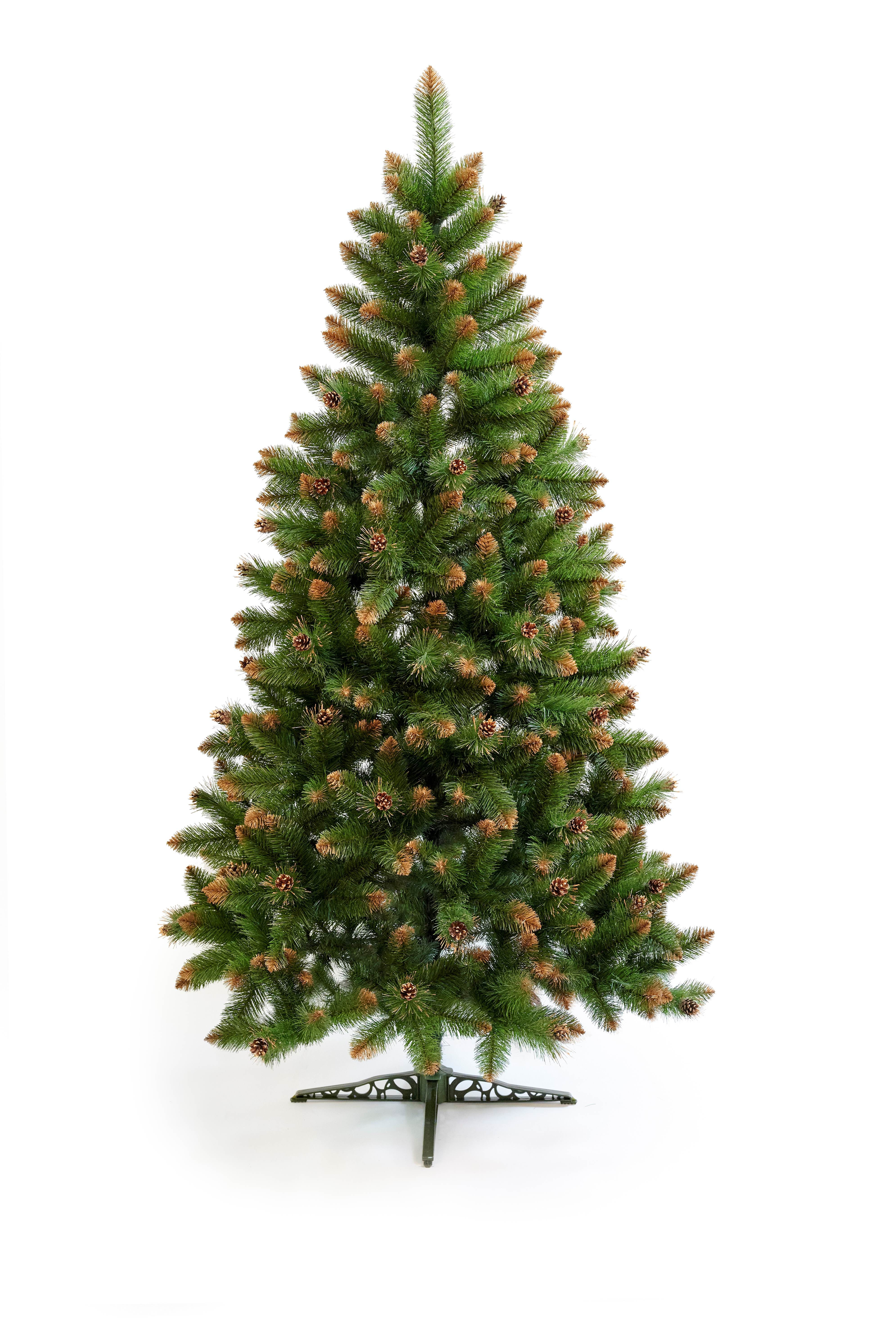 Borovica Verona zlatá-220cm