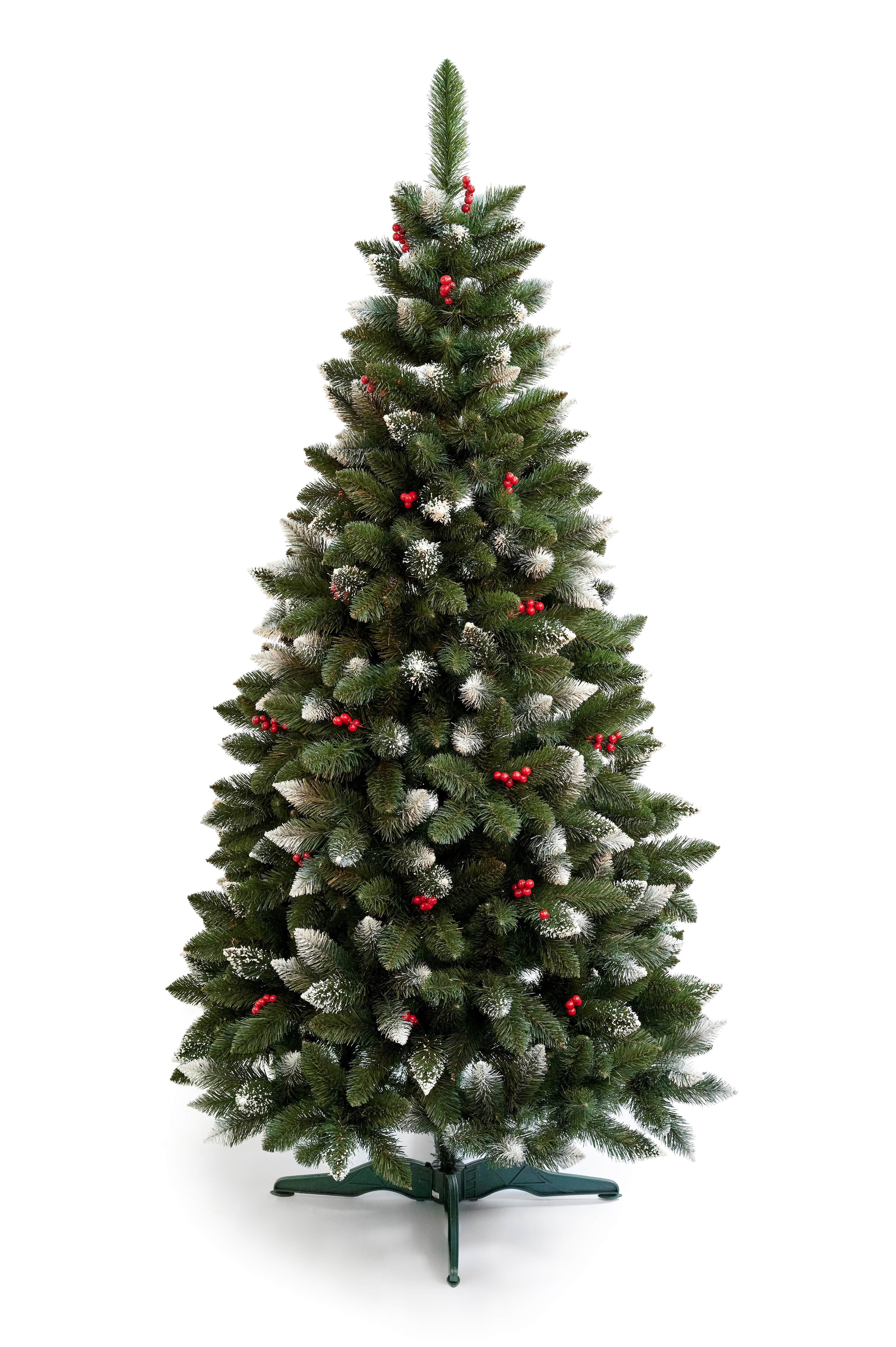 Borovica Izabella s jarabinou-220 cm