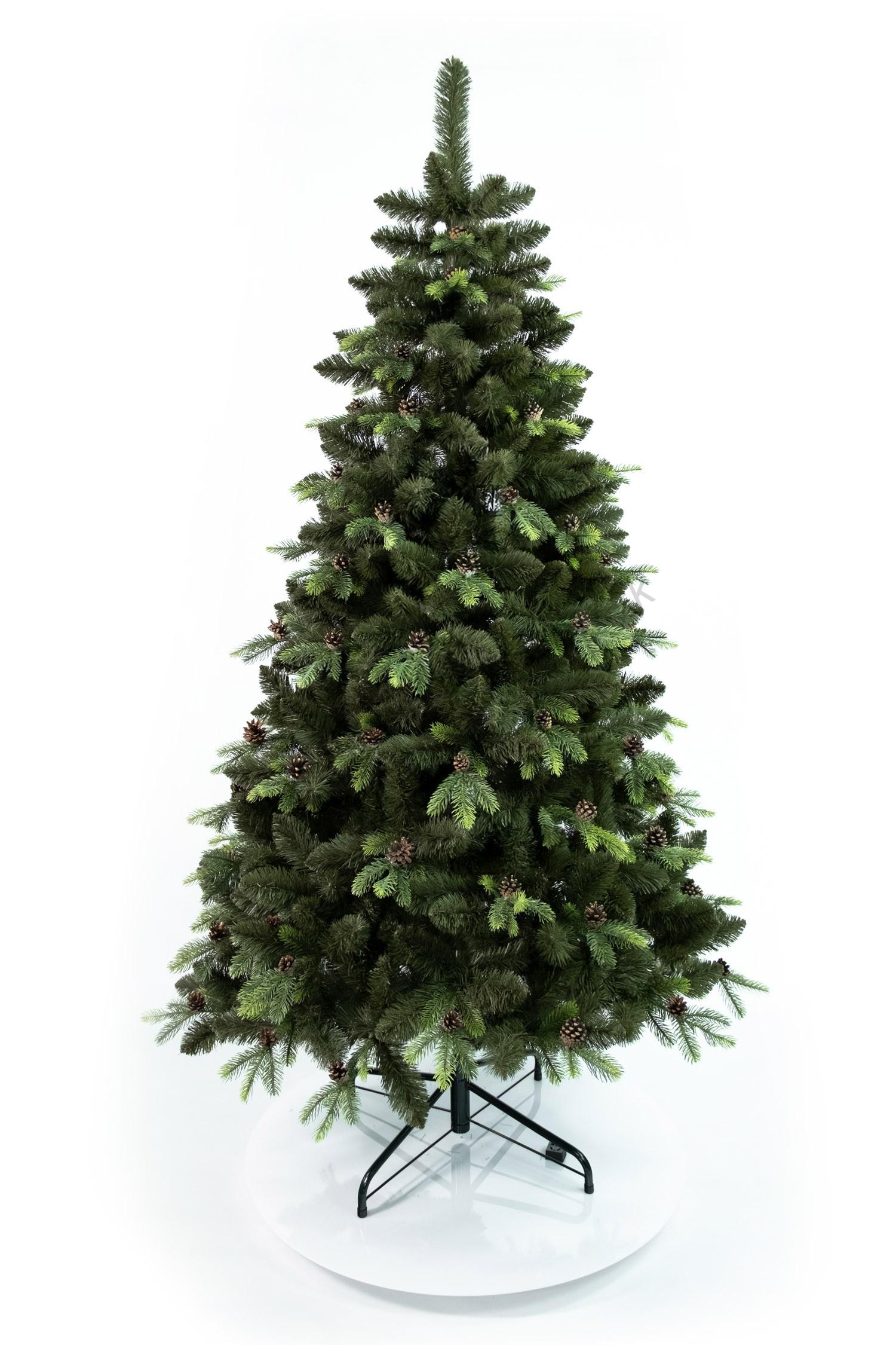 Borovica Paula LUX-210cm