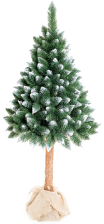 Vianočný stromček 220 cm s kmeňom